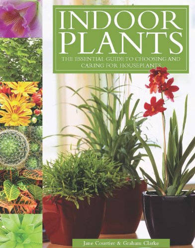 Imagen de archivo de Indoor Plants: The Essential Guide to Choosing and Caring for Houseplants a la venta por Goodwill