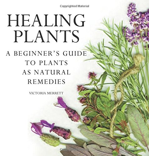Stock image for Healing Plants for sale by ThriftBooks-Dallas