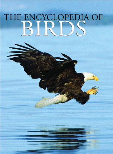 9780785830818: Encyclopedia of Birds