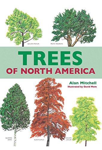 Stock image for Trees of North America for sale by Half Price Books Inc.