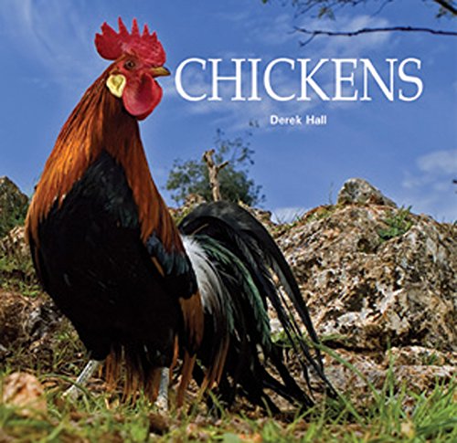 Beispielbild fr Chickens zum Verkauf von Zoom Books Company