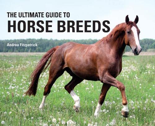 Stock image for The Ultimate Guide to Horse Breeds for sale by Goodwill Books