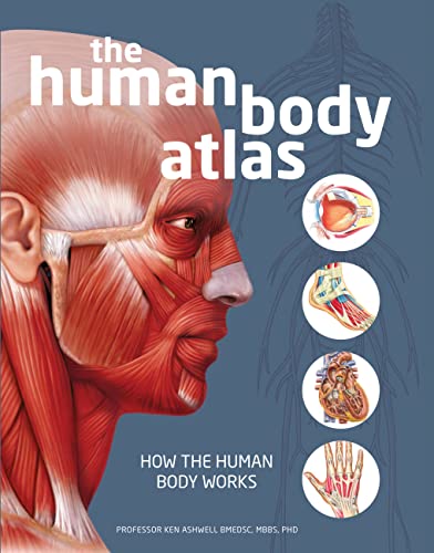 9780785835059: The Human Body Atlas: How the human body works