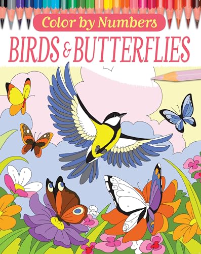 9780785835363: Birds & Butterflies