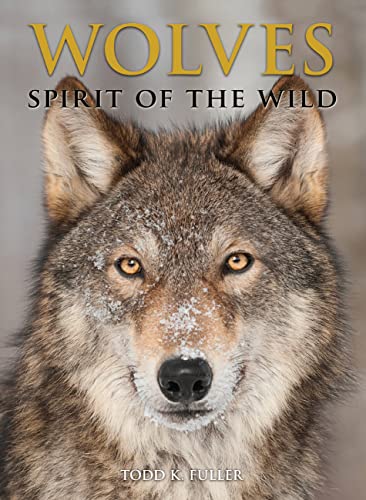 Stock image for Wolves: Spirit of the Wild for sale by Bookmonger.Ltd