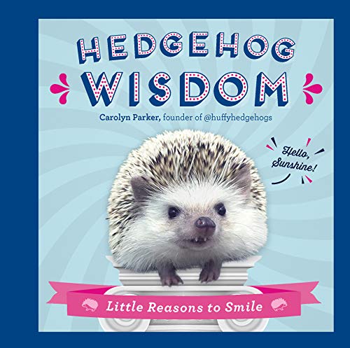 Beispielbild fr Hedgehog Wisdom: Little Reasons to Smile zum Verkauf von Wonder Book