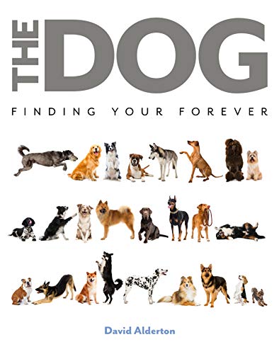 Beispielbild fr The Dog: Finding Your Forever zum Verkauf von SecondSale