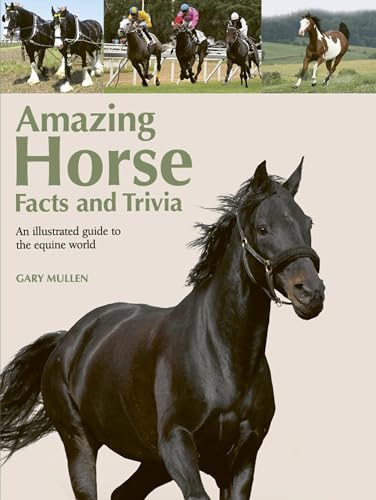 Stock image for Amazing Horse Facts and Trivia: An illustrated guide to the equine world for sale by SecondSale