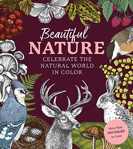 Stock image for Beautiful Nature Coloring Book (Paperback) for sale by Grand Eagle Retail