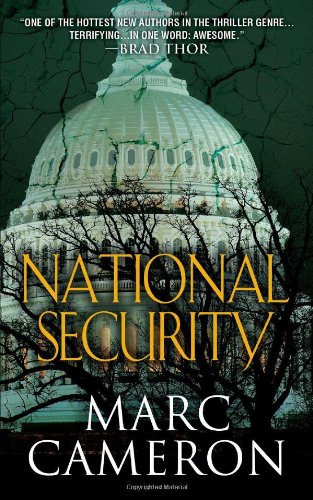 Beispielbild fr National Security zum Verkauf von Better World Books