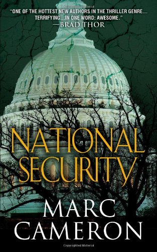 Stock image for National Security (Jericho Quinn) for sale by Half Price Books Inc.