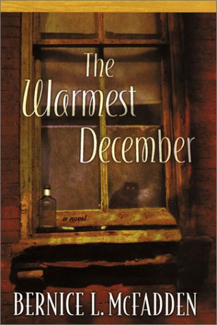 9780786234394: The Warmest December (Thorndike Press Large Print Basic Series)