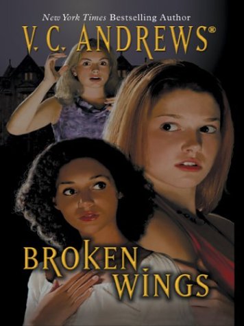 Stock image for Broken Wings (Large Print) for sale by Library House Internet Sales