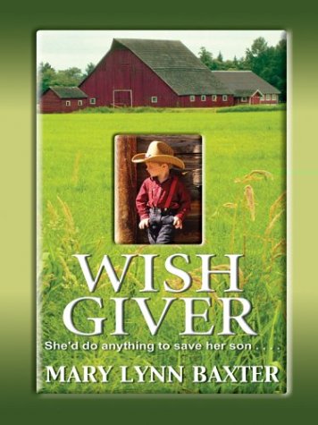 Beispielbild fr Wish Giver zum Verkauf von Better World Books