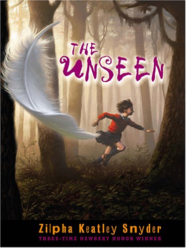 9780786272655: The Unseen (Thorndike Press Large Print Literacy Bridge Series)