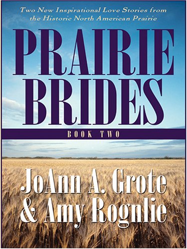 Prairie Brides Book Two: A Homesteader, a Bride and a Baby and A Vow Unbroken (9780786279791) by JoAnn A. Grote; Amy Rognlie