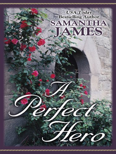 9780786281329: A Perfect Hero (Thorndike Press Large Print Romance Series)