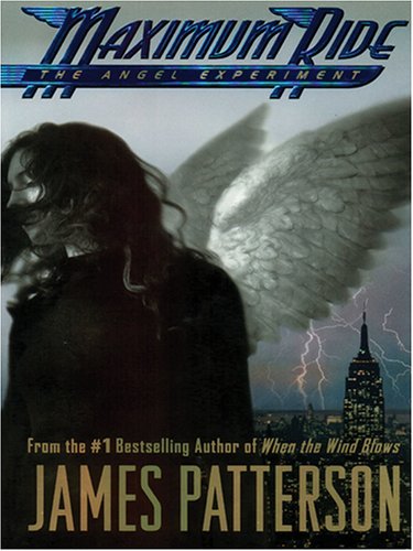 Stock image for The Angel Experiment for sale by Better World Books