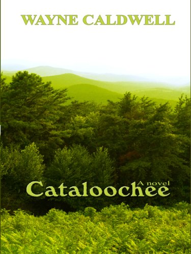 Stock image for Cataloochee for sale by Better World Books
