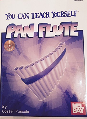 Stock image for You Can Teach Yourself Pan Flute for sale by Jenson Books Inc