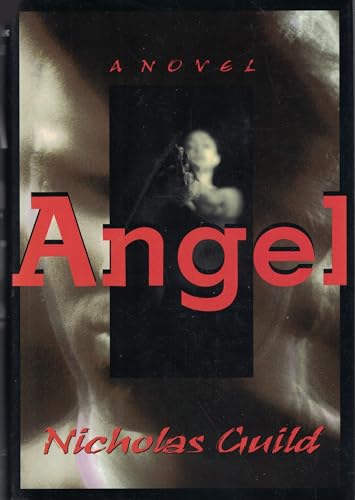 9780786702428: Angel: A Novel