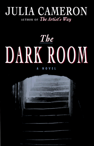 Beispielbild für The Dark Room zum Verkauf von medimops