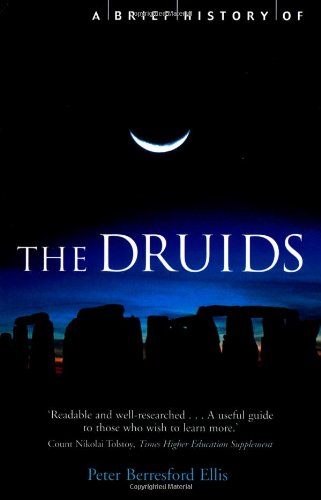 Beispielbild fr A Brief History of the Druids (The Brief History) zum Verkauf von Decluttr