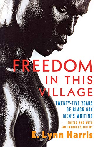9780786713875: Freedom in This Village: Twenty-Five Years of Black Gay Men's Writing