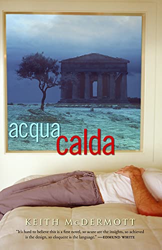 Beispielbild fr Acqua Calda: A Novel zum Verkauf von Brook Bookstore