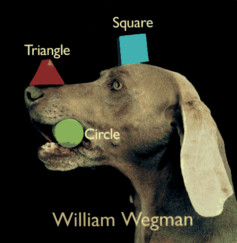 Imagen de archivo de Square Triangle Circle (HYPERION) a la venta por Gulf Coast Books