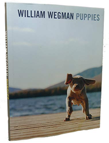 Beispielbild fr William Wegman: Puppies zum Verkauf von Gulf Coast Books