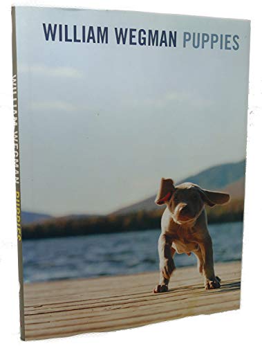 Imagen de archivo de William Wegman: Puppies a la venta por Gulf Coast Books