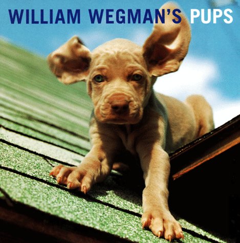 Stock image for William Wegman's Pups (HYPERION) for sale by Wonder Book