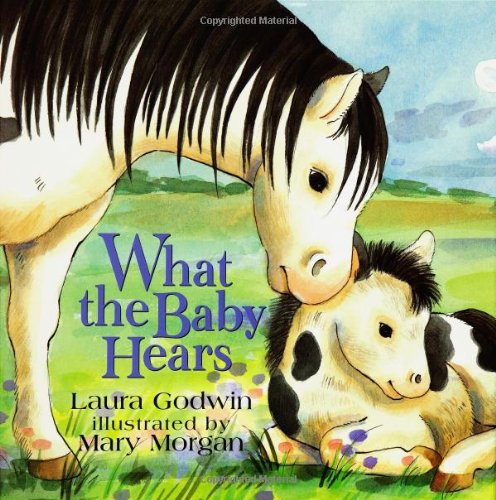 What the Baby Hears (9780786805600) by Godwin, Laura