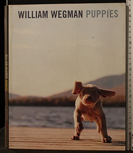 Imagen de archivo de William Wegman Puppies a la venta por Wonder Book