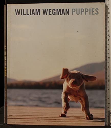Stock image for William Wegman Puppies for sale by Wonder Book