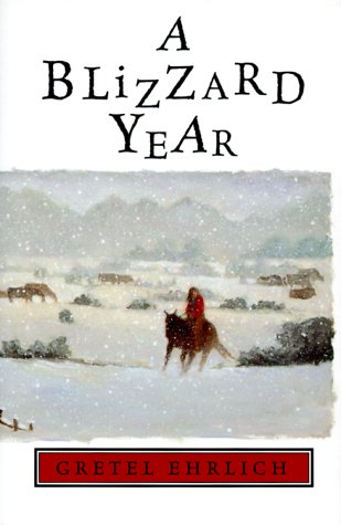 9780786823093: A Blizzard Year: Timmy's Almanac of Seasons