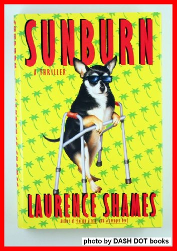 9780786860685: Sunburn: A Novel