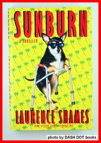 Stock image for Sunburn for sale by Better World Books