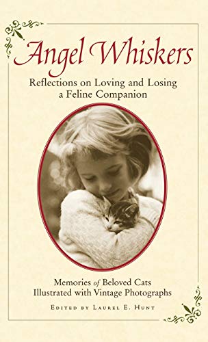 Imagen de archivo de Angel Whiskers : Reflections on Loving and Losing a Feline Companion a la venta por Better World Books: West