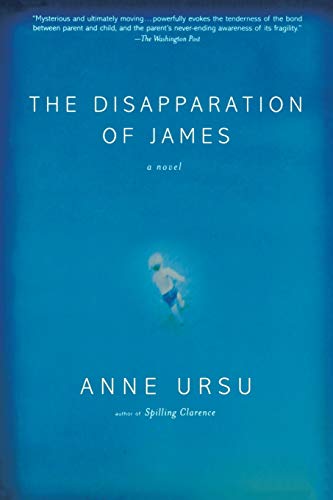 Beispielbild fr The Disapparation of James zum Verkauf von Better World Books