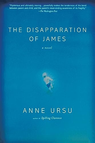 Imagen de archivo de The Disapparation of James a la venta por Better World Books: West