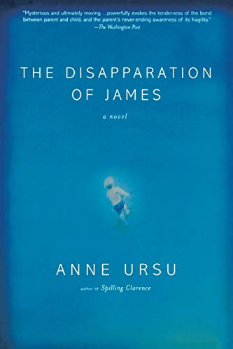 Stock image for The Disapparation of James for sale by Better World Books: West