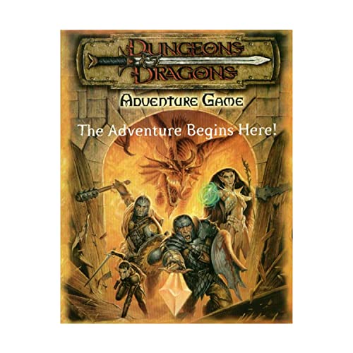 Stock image for Dungeons & Dragons Adventure Game: The Adventure Begins Here! for sale by Ergodebooks