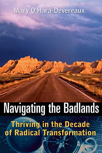 Stock image for Navigating the Badlands: Thriving in the Decade of Radical Transformation for sale by Gulf Coast Books