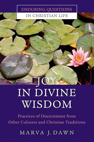 Beispielbild fr Joy in Divine Wisdom : Practices of Discernment from Other Cultures and Christian Traditions zum Verkauf von Better World Books