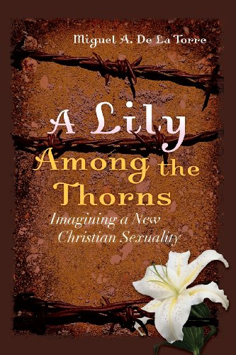 Beispielbild fr A Lily Among the Thorns: Imagining a New Christian Sexuality zum Verkauf von Wonder Book