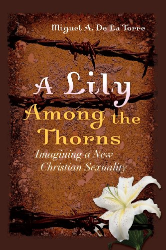 9780787981464: A Lily Among the Thorns: Imagining a New Christian Sexuality