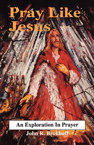 Imagen de archivo de Pray Like Jesus a la venta por Your Online Bookstore