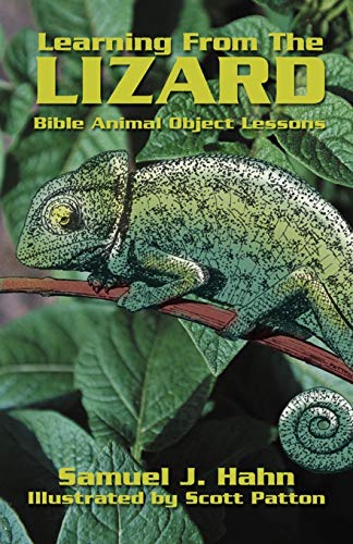 Imagen de archivo de Learning from the Lizard a la venta por Your Online Bookstore